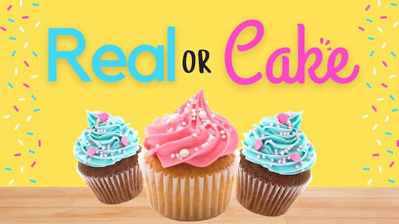 Real or Cake
